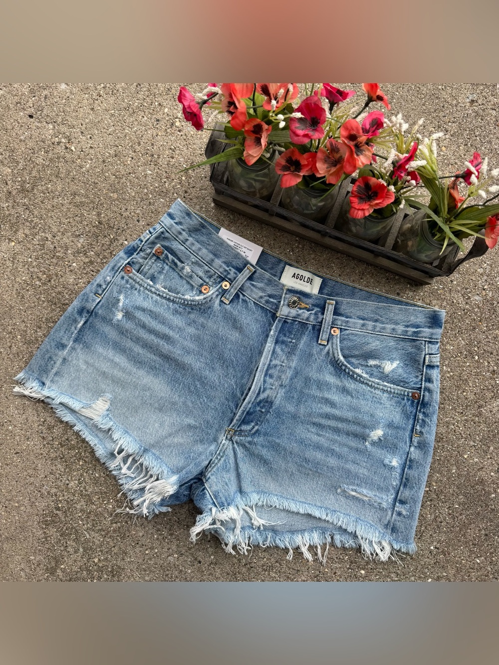NWT Agolde Distressed Jean Shorts Size 27